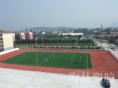 新泰市中国娃小学塑胶跑道、人造草坪足球场