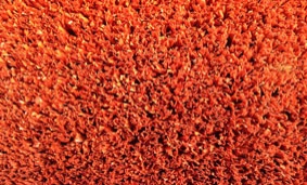 门球场专用卷曲草(不充砂) 　　门球场专用网丝草(充砂) 　　一、门球介绍 　　门球起源于法国，