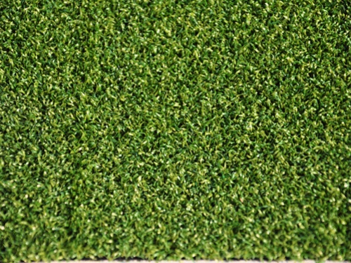 曲棍球场卷曲草坪